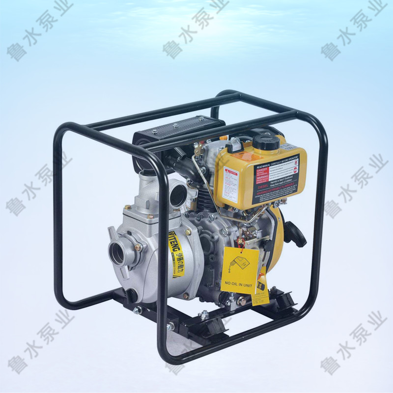 便攜式柴油機(jī)泵